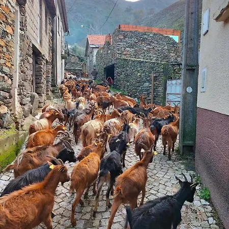 Casa Do Avo Ze بيت للعطل