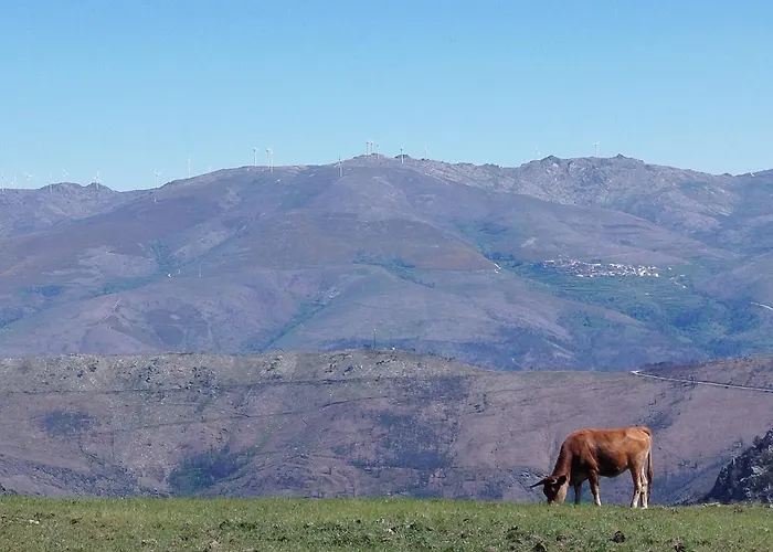 別荘 Casa Do Avo Ze *